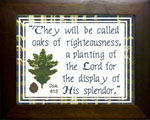 Oaks of Righteousness - Isaiah 61:3